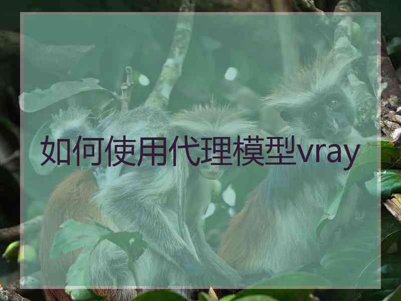 如何使用代理模型vray