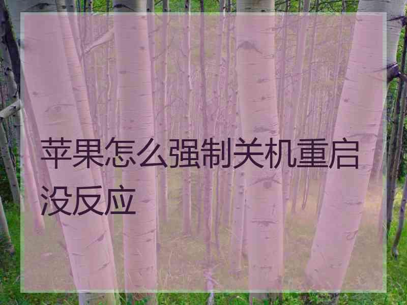 苹果怎么强制关机重启没反应