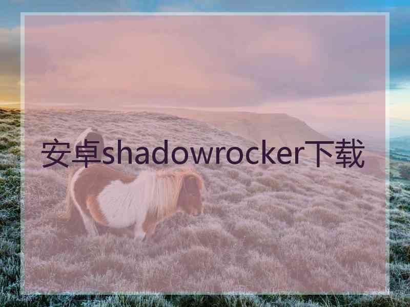 安卓shadowrocker下载