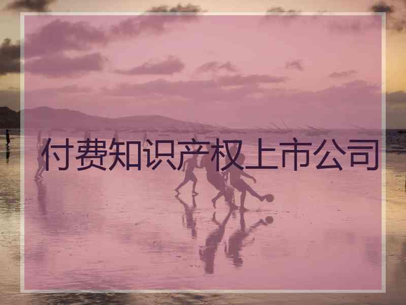 付费知识产权上市公司