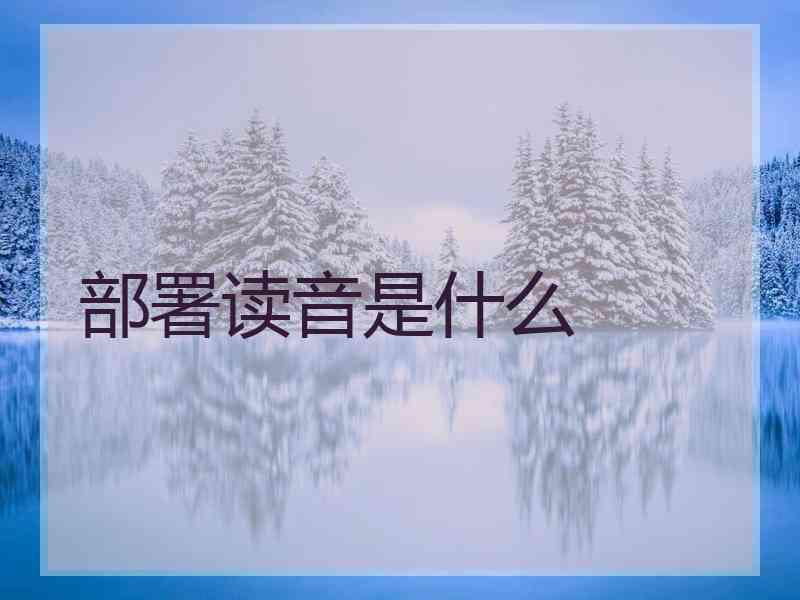 部署读音是什么
