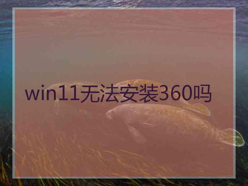 win11无法安装360吗