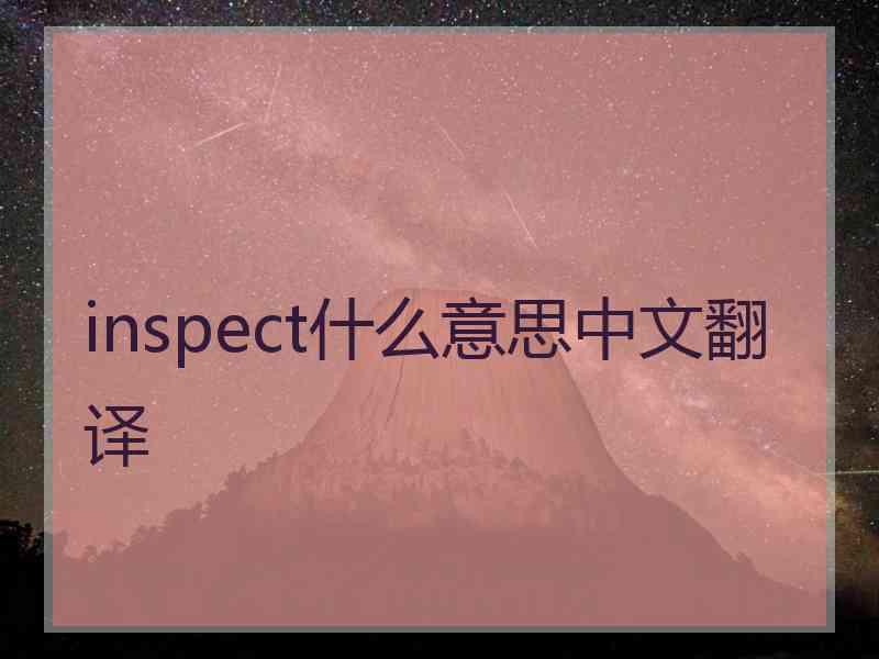 inspect什么意思中文翻译