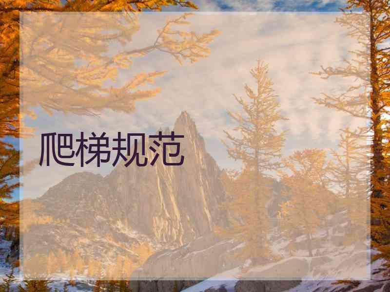 爬梯规范