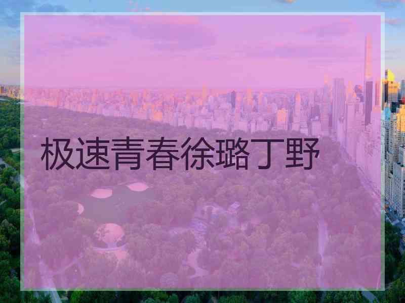 极速青春徐璐丁野