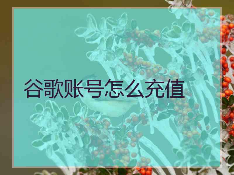 谷歌账号怎么充值