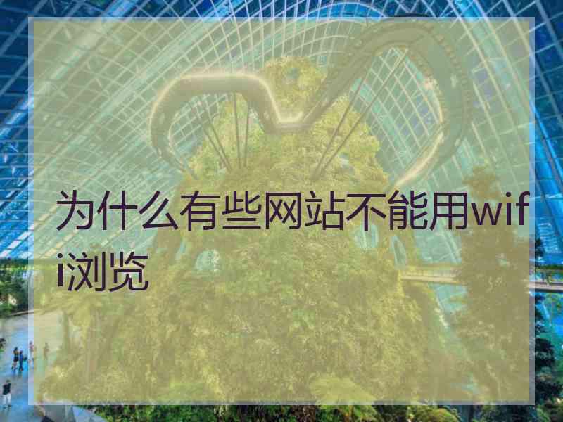 为什么有些网站不能用wifi浏览