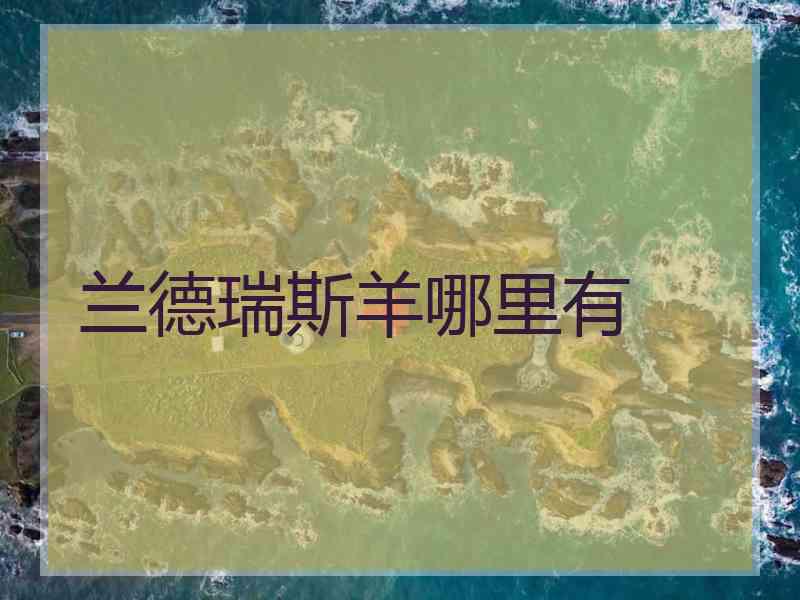 兰德瑞斯羊哪里有