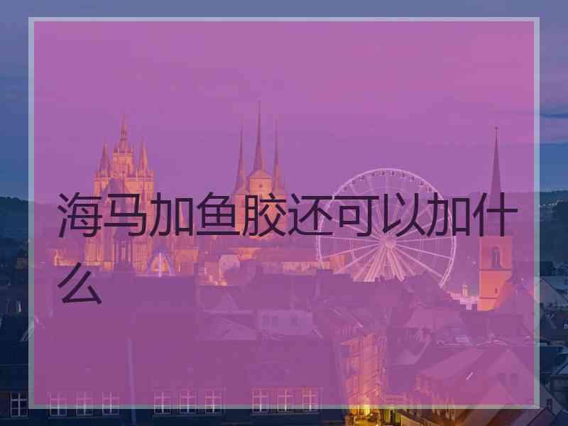 海马加鱼胶还可以加什么