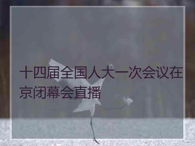 十四届全国人大一次会议在京闭幕会直播