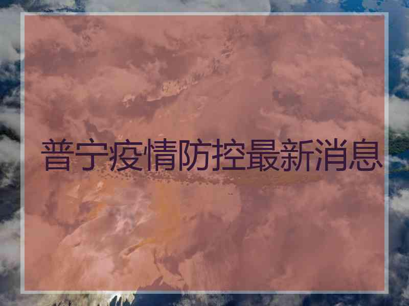 普宁疫情防控最新消息