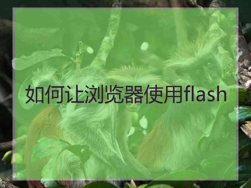 如何让浏览器使用flash