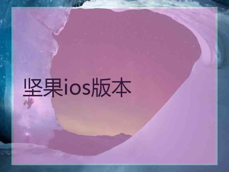 坚果ios版本