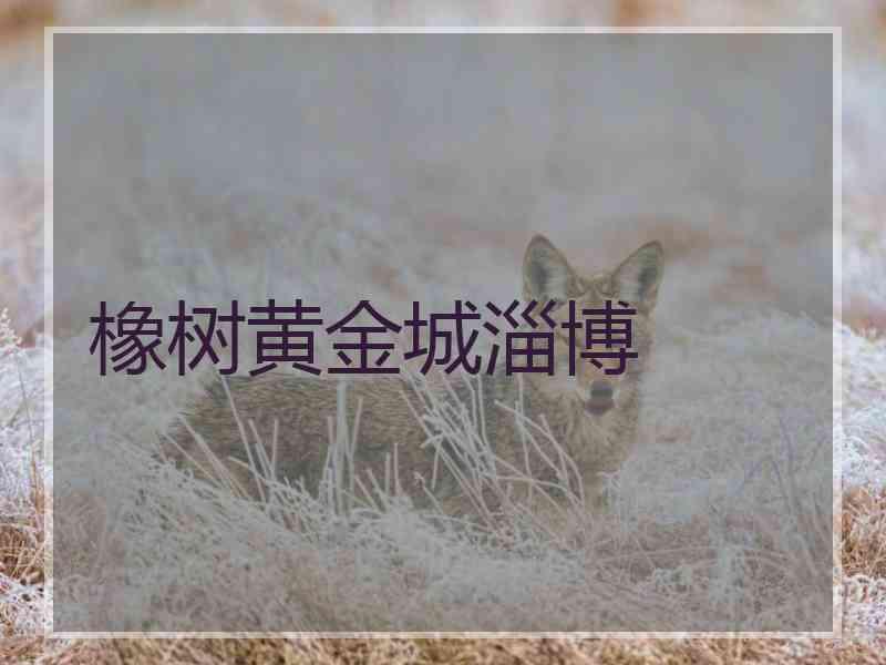 橡树黄金城淄博