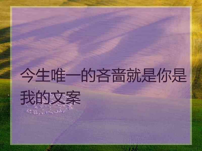 今生唯一的吝啬就是你是我的文案