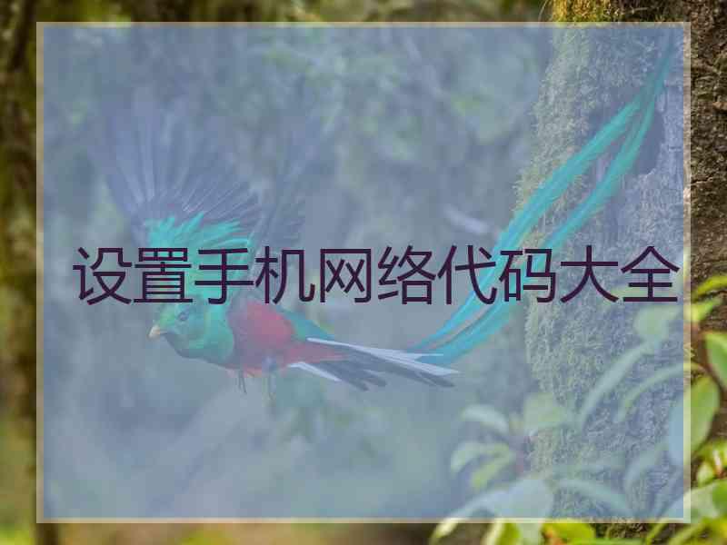 设置手机网络代码大全