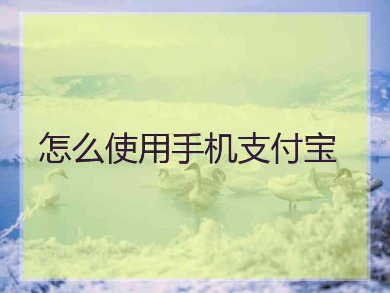 怎么使用手机支付宝
