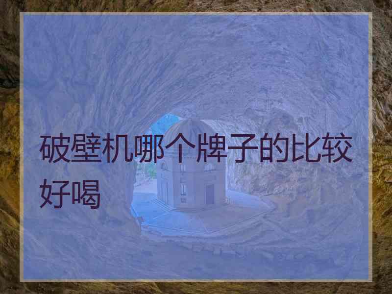 破壁机哪个牌子的比较好喝