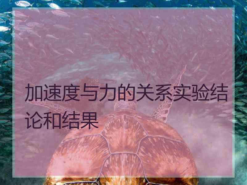 加速度与力的关系实验结论和结果