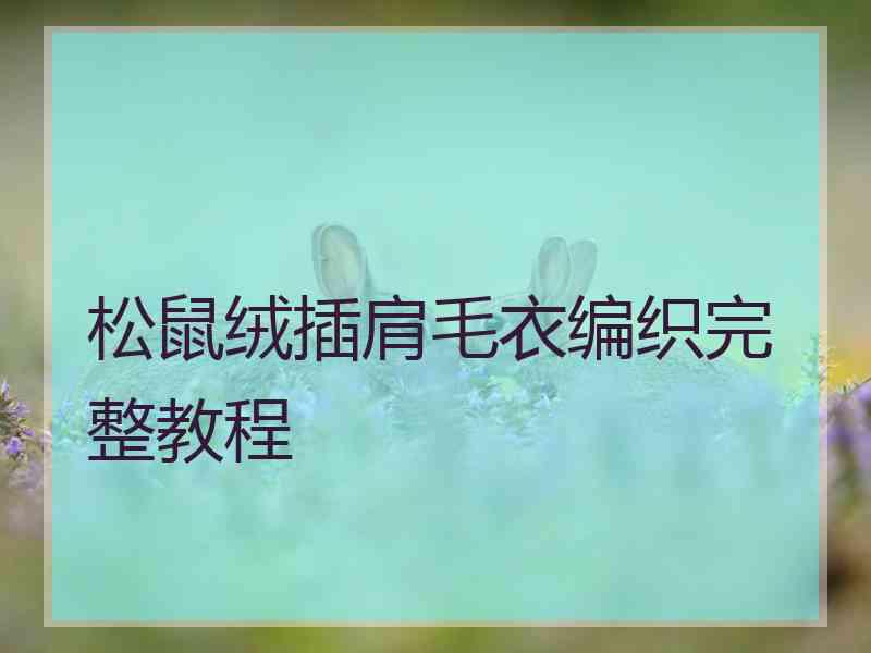 松鼠绒插肩毛衣编织完整教程