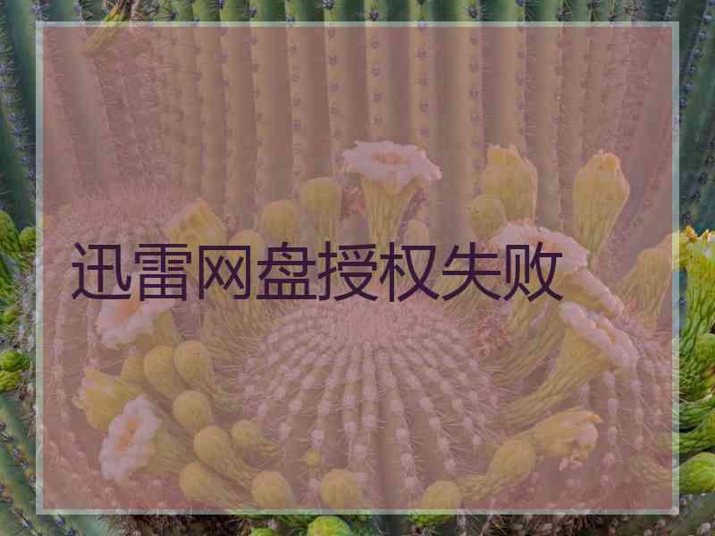 迅雷网盘授权失败