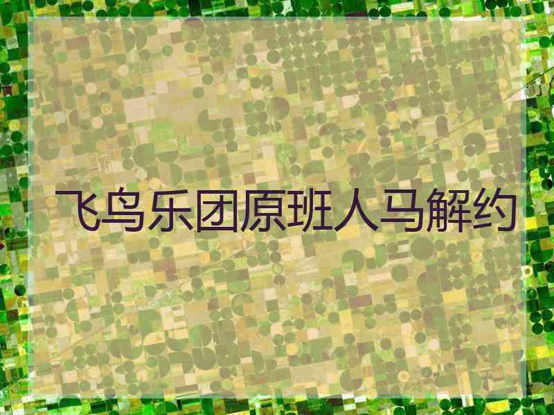 飞鸟乐团原班人马解约