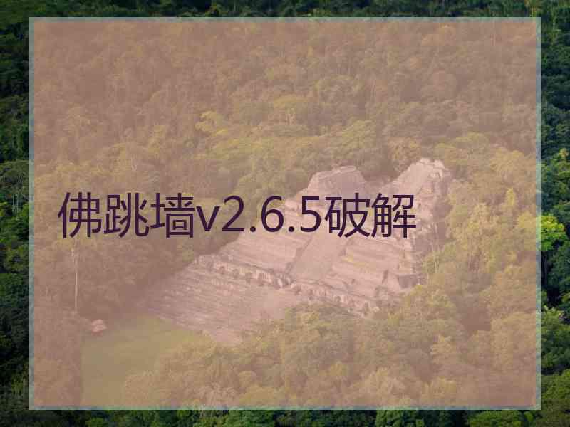 佛跳墙v2.6.5破解