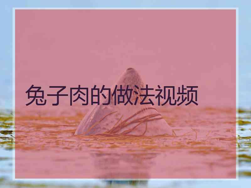兔子肉的做法视频
