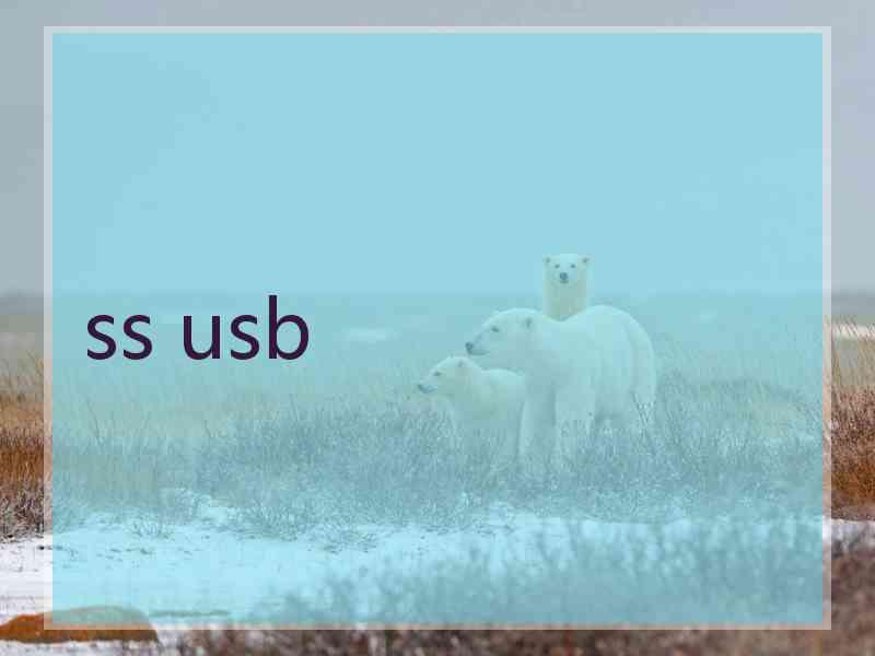 ss usb