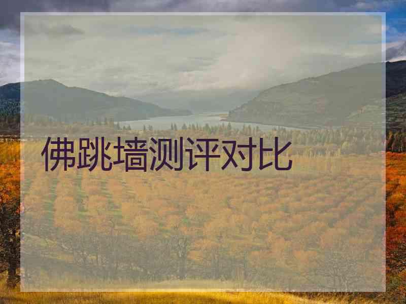 佛跳墙测评对比