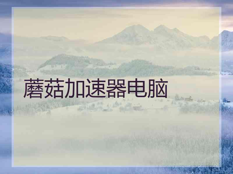 蘑菇加速器电脑