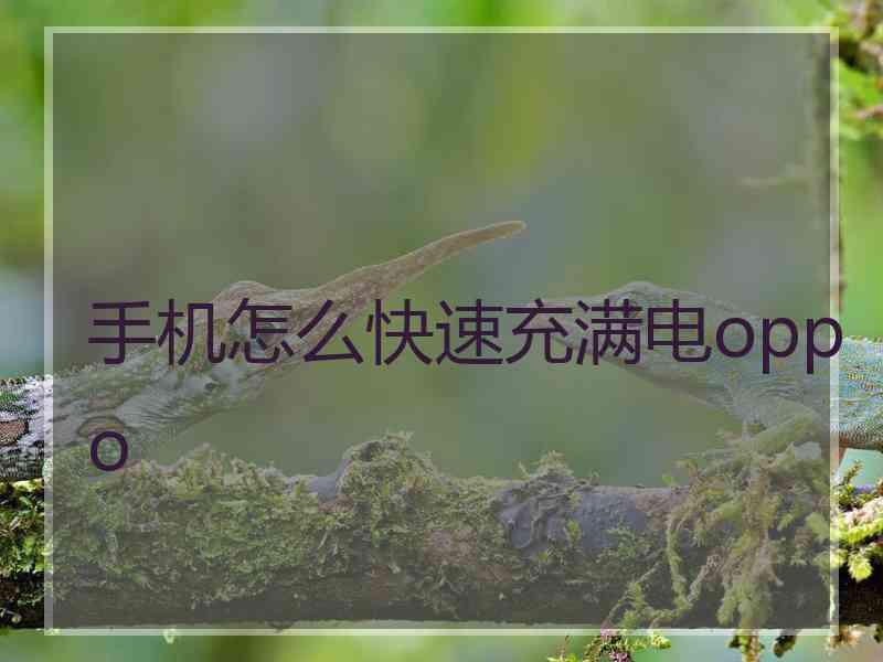 手机怎么快速充满电oppo