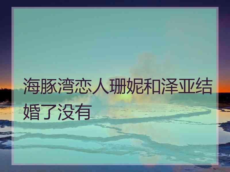 海豚湾恋人珊妮和泽亚结婚了没有