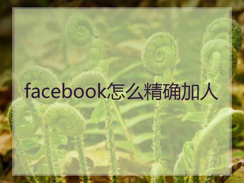 facebook怎么精确加人