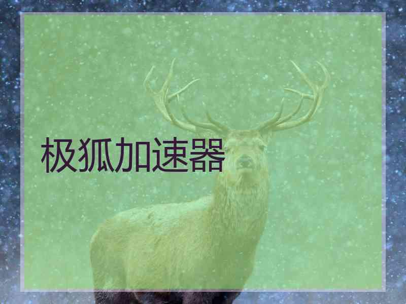 极狐加速器