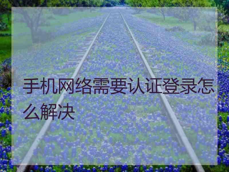 手机网络需要认证登录怎么解决