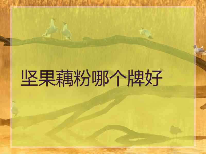 坚果藕粉哪个牌好