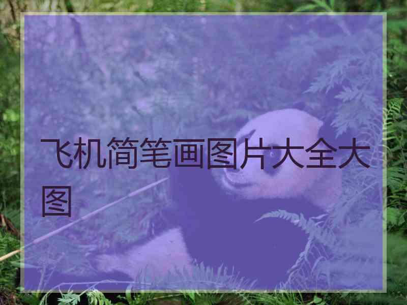 飞机简笔画图片大全大图