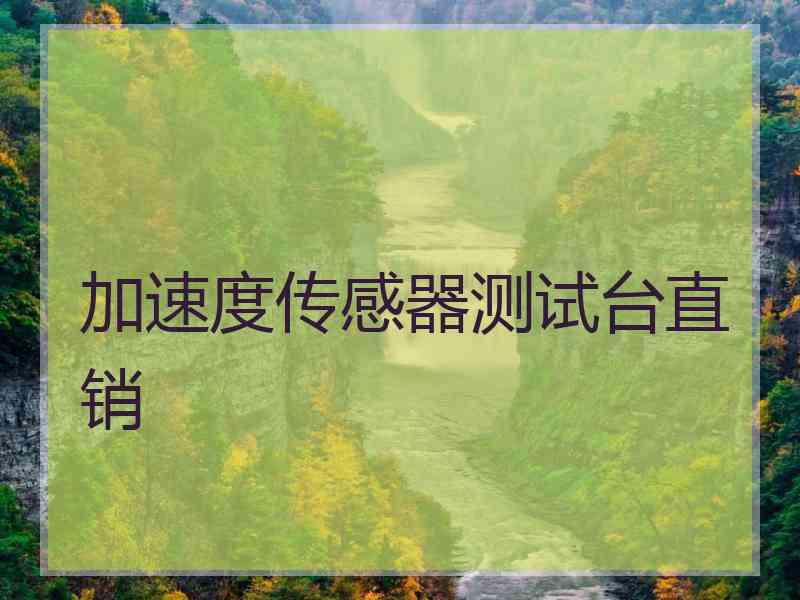 加速度传感器测试台直销