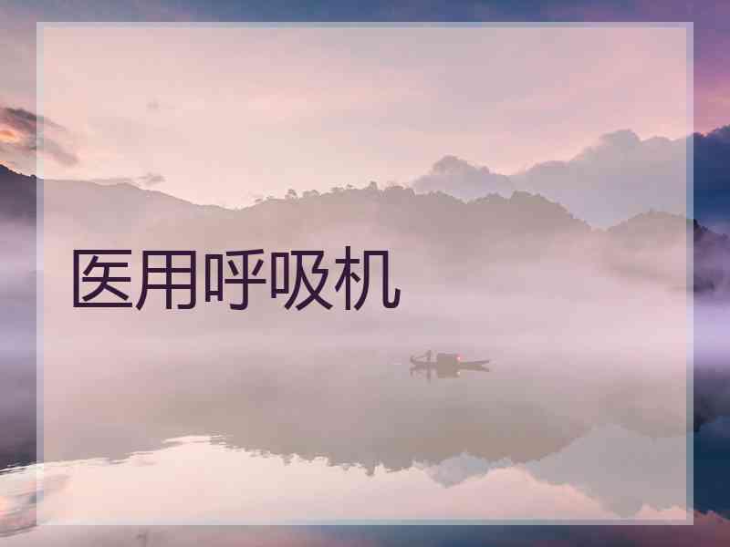 医用呼吸机