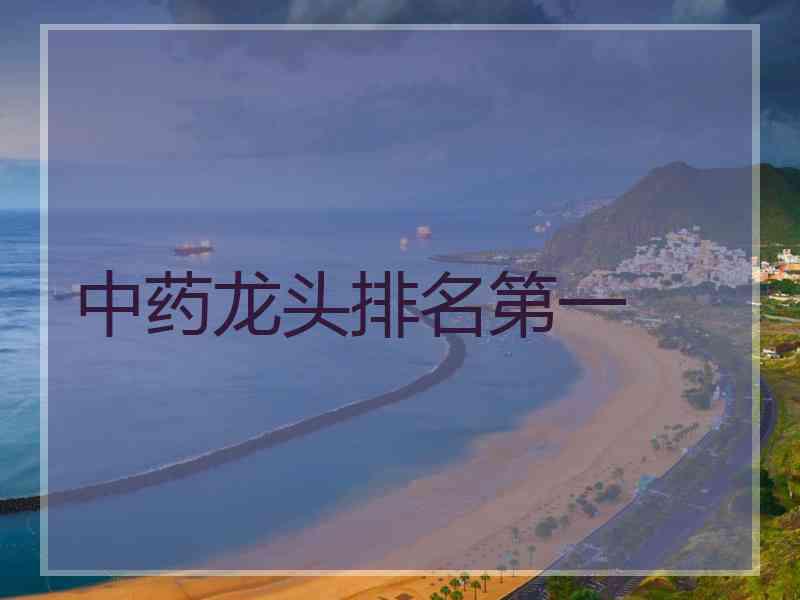 中药龙头排名第一