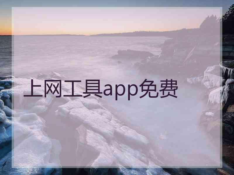 上网工具app免费