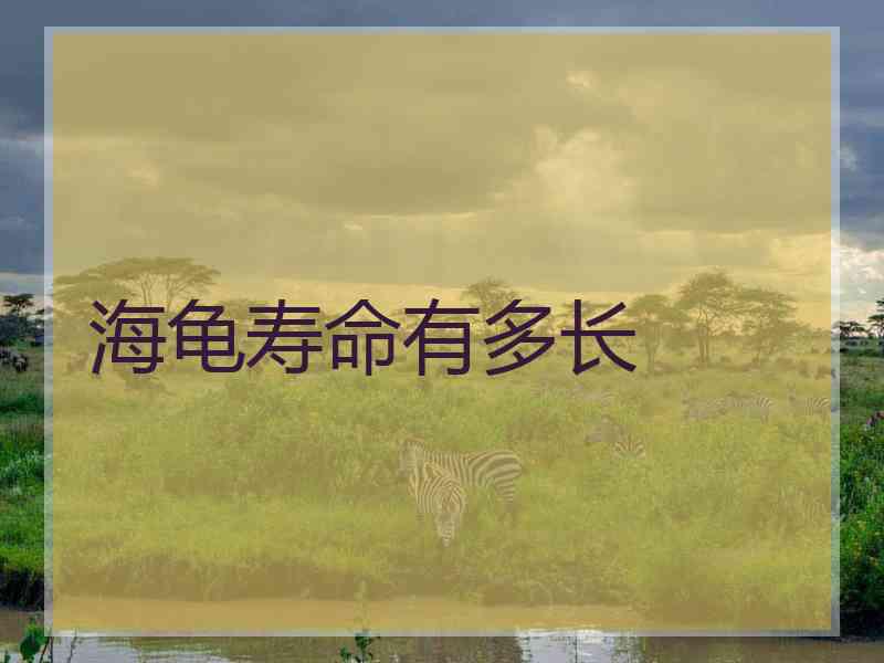 海龟寿命有多长