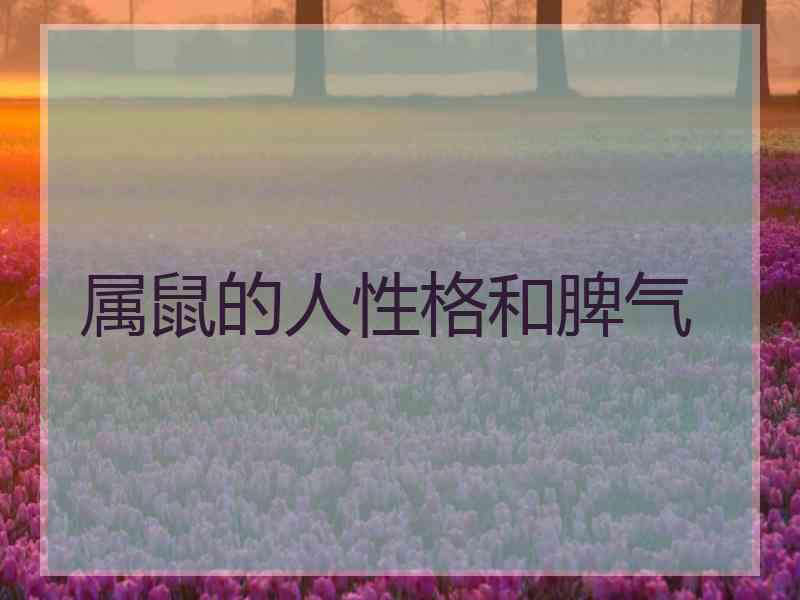 属鼠的人性格和脾气