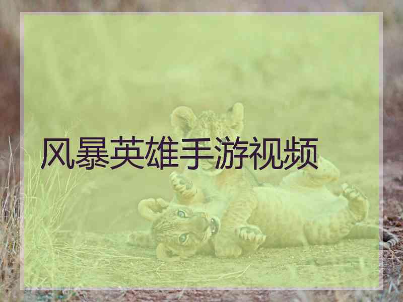 风暴英雄手游视频