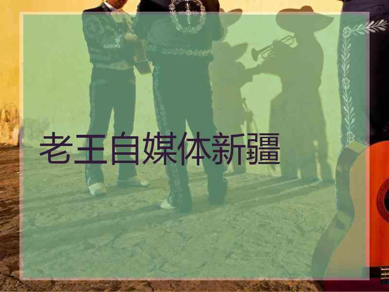 老王自媒体新疆