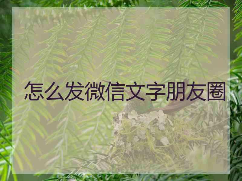 怎么发微信文字朋友圈