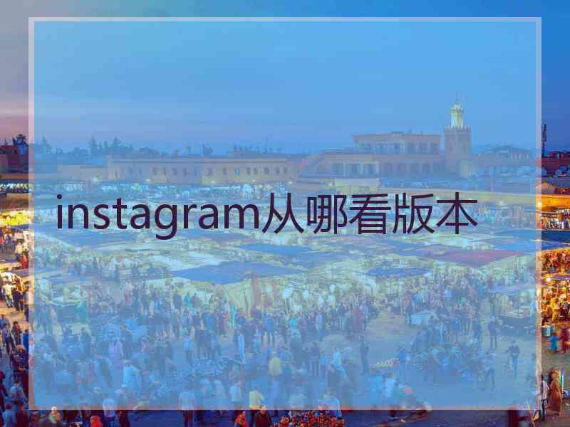 instagram从哪看版本
