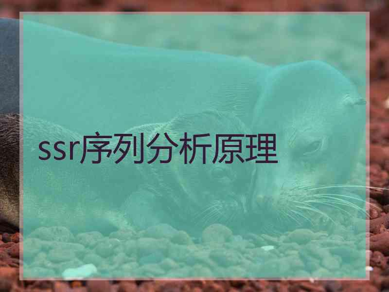 ssr序列分析原理