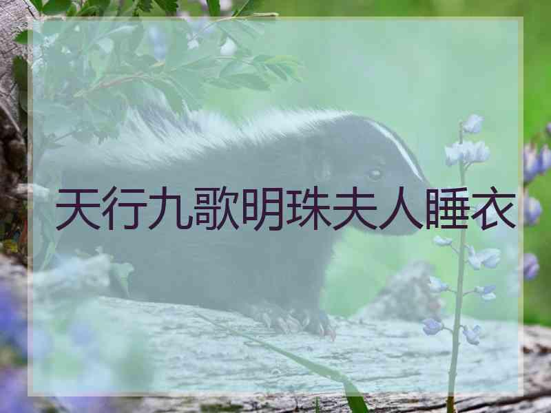 天行九歌明珠夫人睡衣
